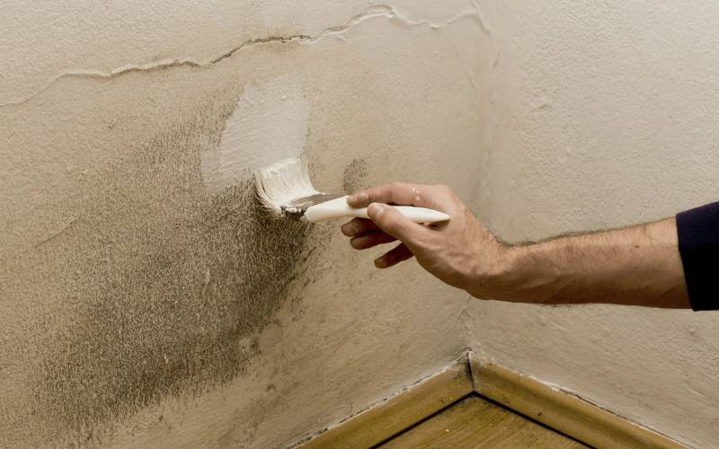 Pared pintada manchas-min