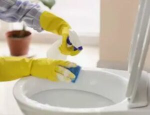 Productos para limpiar la casa eficazmente