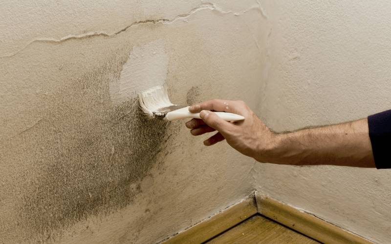 Limpiar manchas con pintura